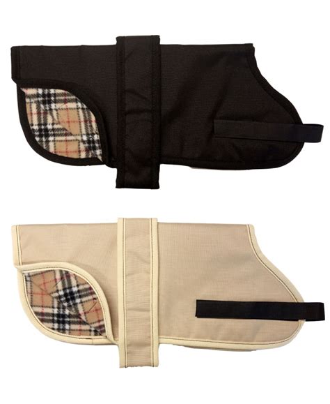 burberry dog coat